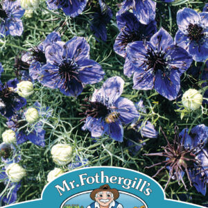 Nigella Midnight