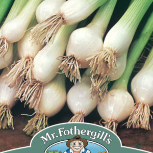 Onion (Spring) White Lisbon