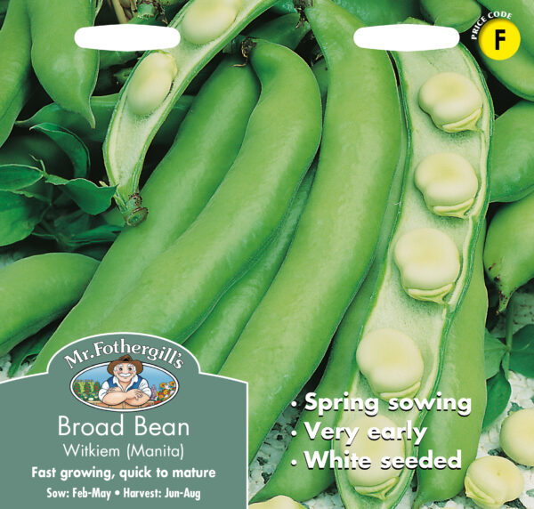 Broad Bean Witkiem (Manita)