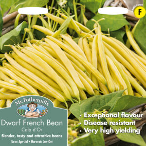 Dwarf French Bean Cala D'or