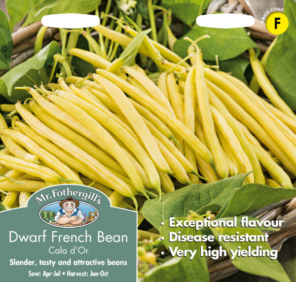 Dwarf French Bean Cala D'or