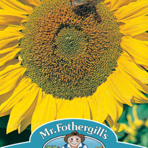 Sunflower Titan