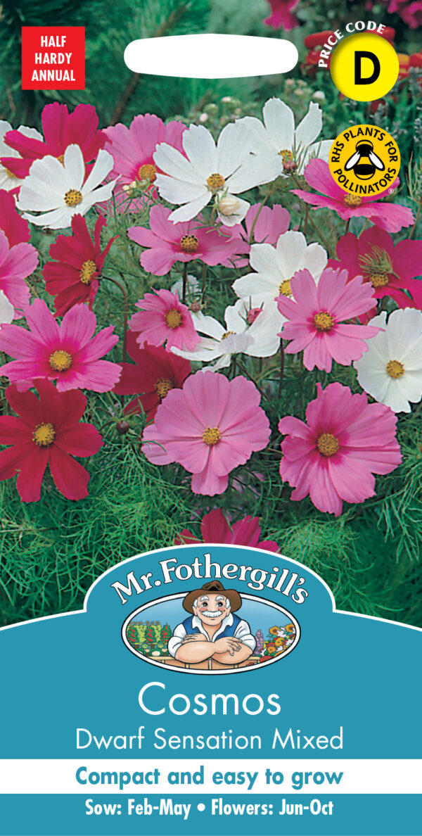 Cosmos Dwarf Sensation Mixed