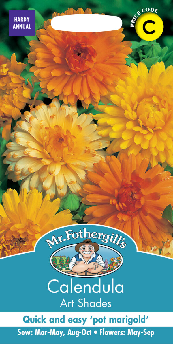 Calendula Art Shades