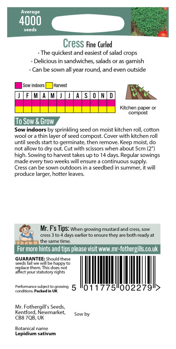 Cress Fine Curled - Image 2