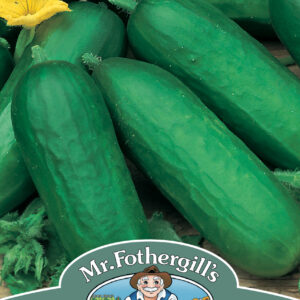 Cucumber Beth Alpha