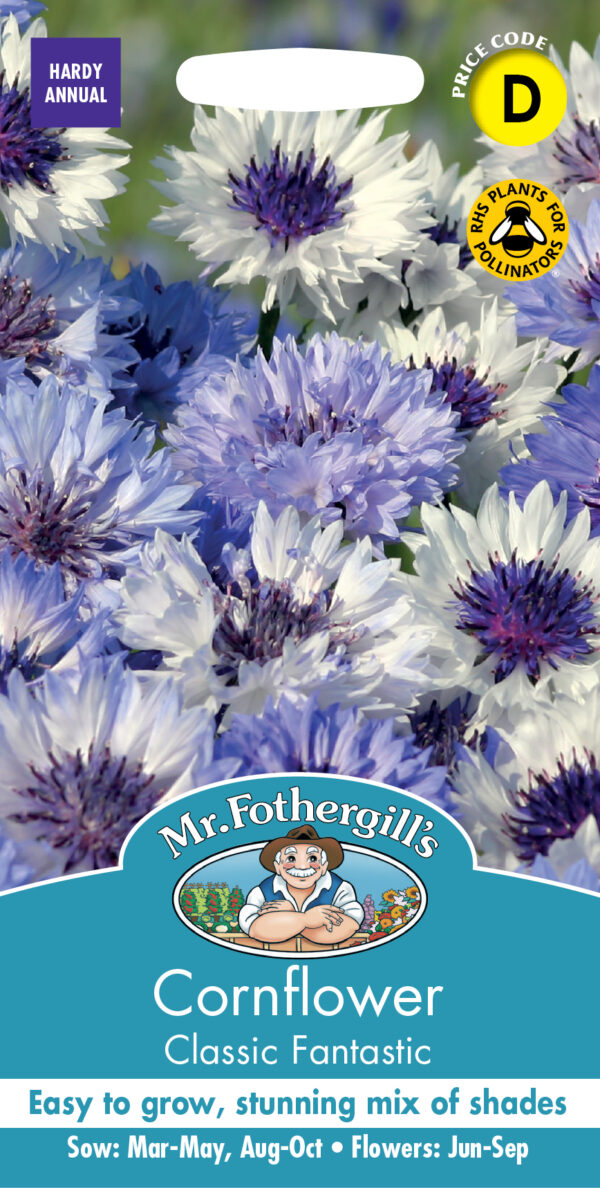 Cornflower Classic Fantastic