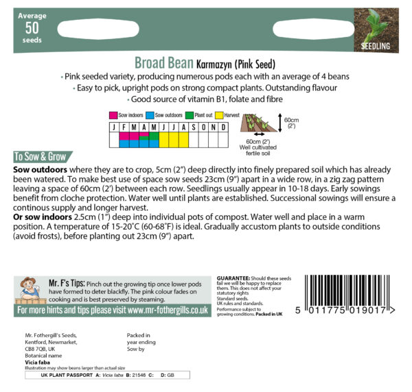 Broad Bean Karmazyn (Pink Seed) - Image 2