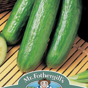 Cucumber Passandra F1