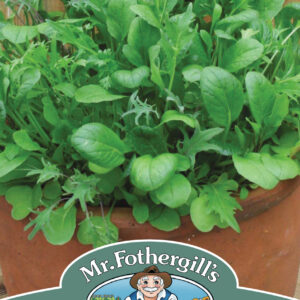 Mixed Mild Salad Leaves