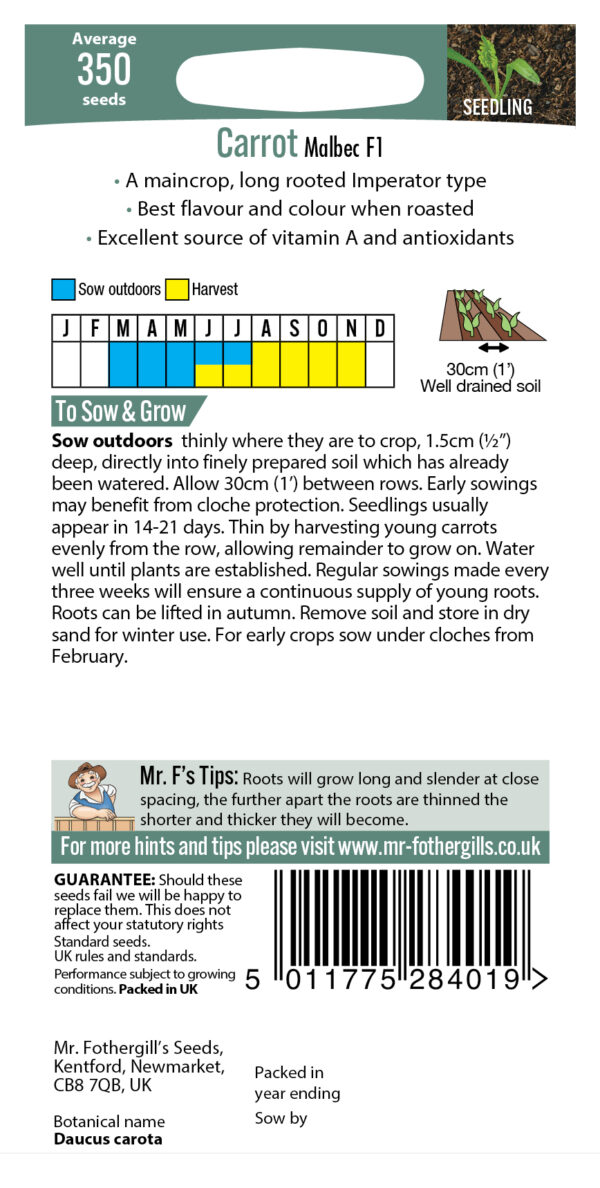Carrot Malbec F1 - Image 2