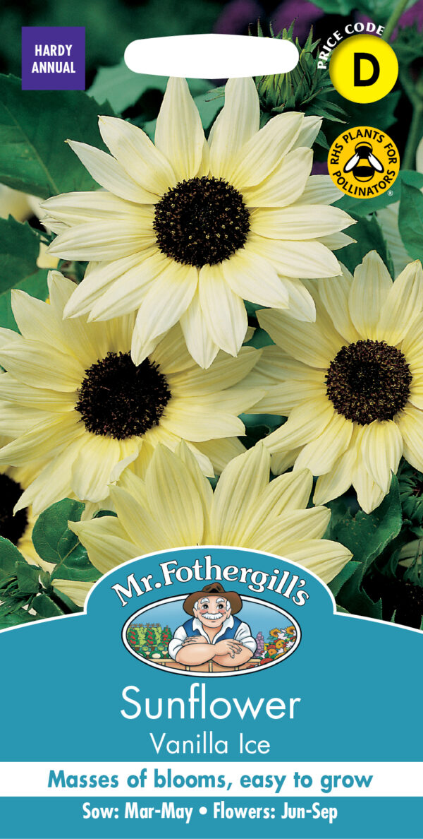 Sunflower Vanilla Ice