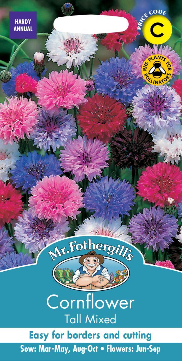 Cornflower Tall Mixed