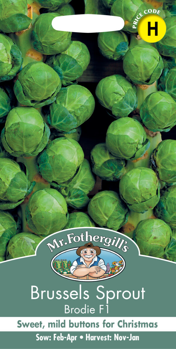 Brussels Sprout Brodie F1