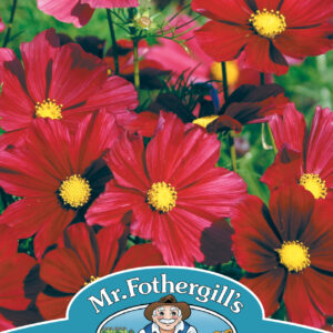 Cosmos Rubenza