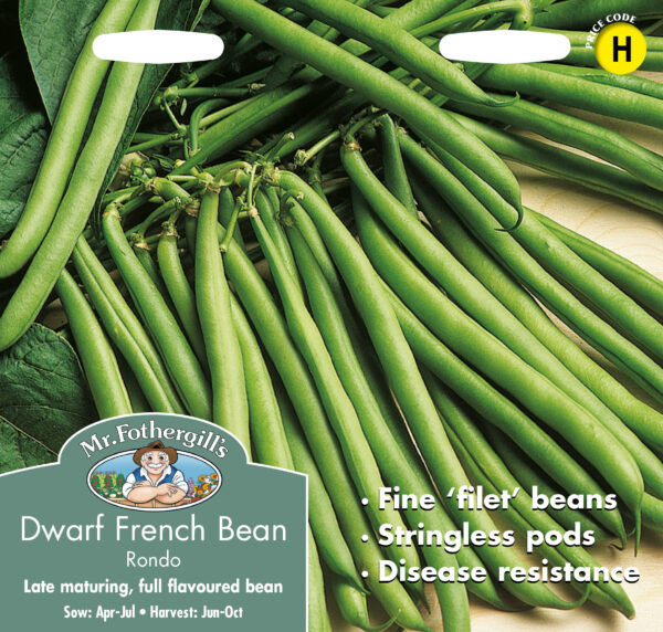 Dwarf French Bean Rondo