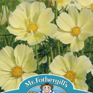 Cosmos Xanthos