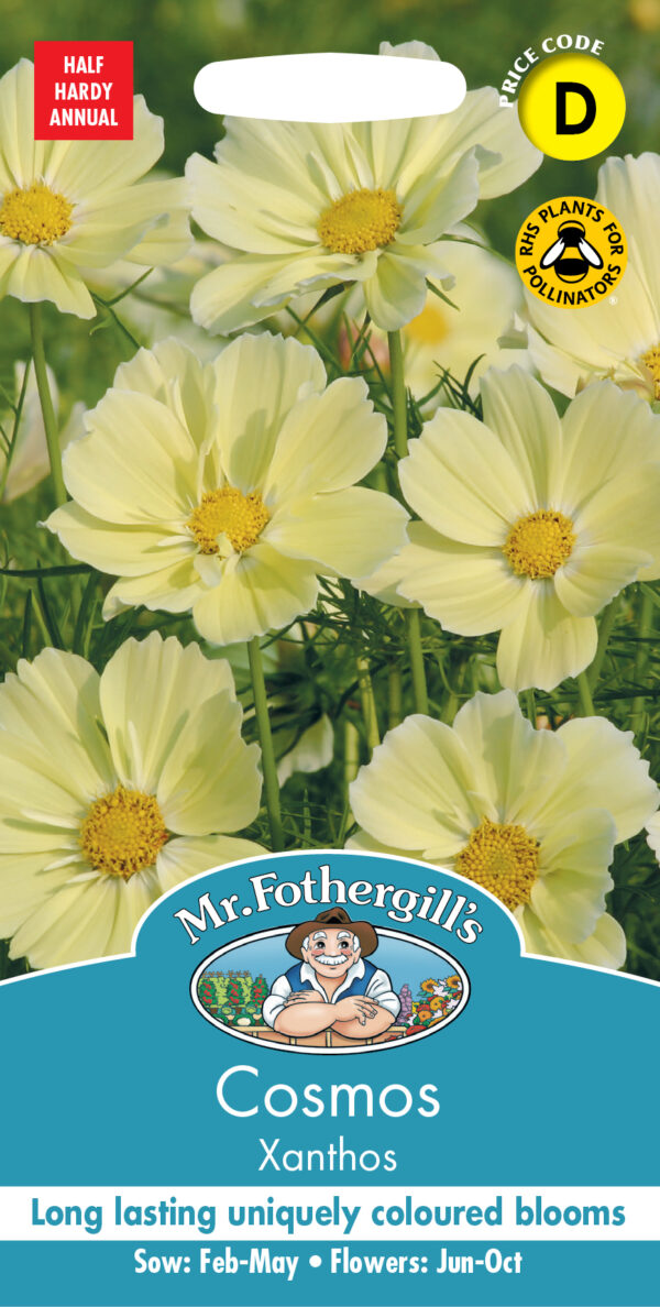 Cosmos Xanthos