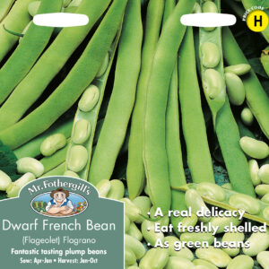 Dwarf French Bean (Flageolet) Flagrano