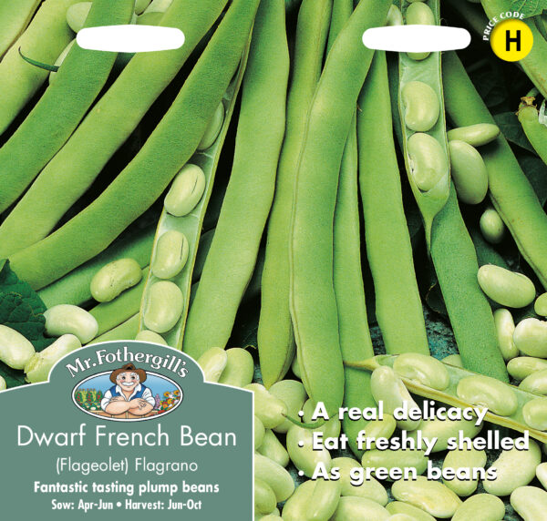Dwarf French Bean (Flageolet) Flagrano