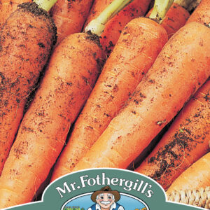 Carrot Resistafly Tozresis F1