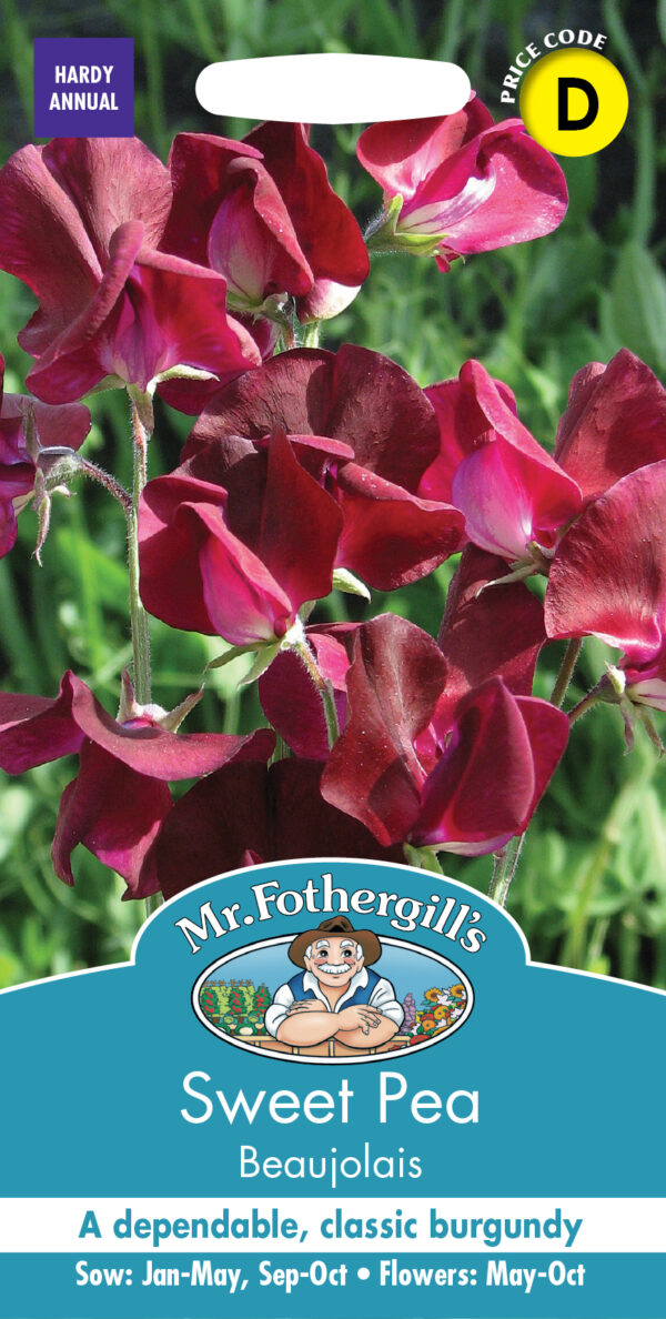 Sweet Pea Beaujolais