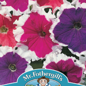 Petunia Frost Mixed F1