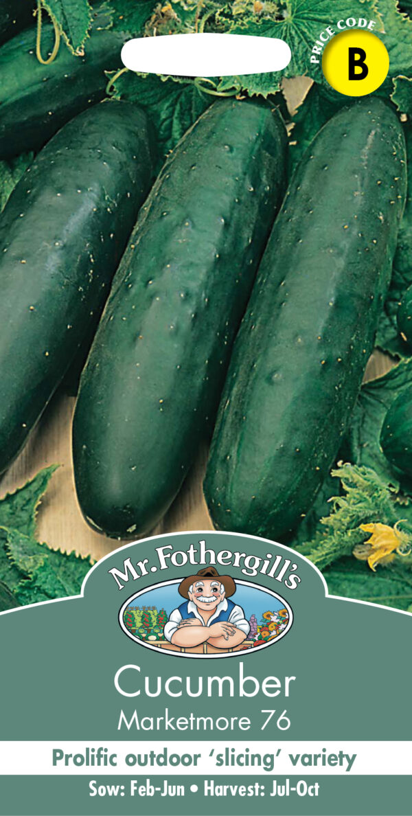 Cucumber Marketmore 76