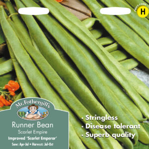 Runner Bean Scarlet Empire (Stringless)
