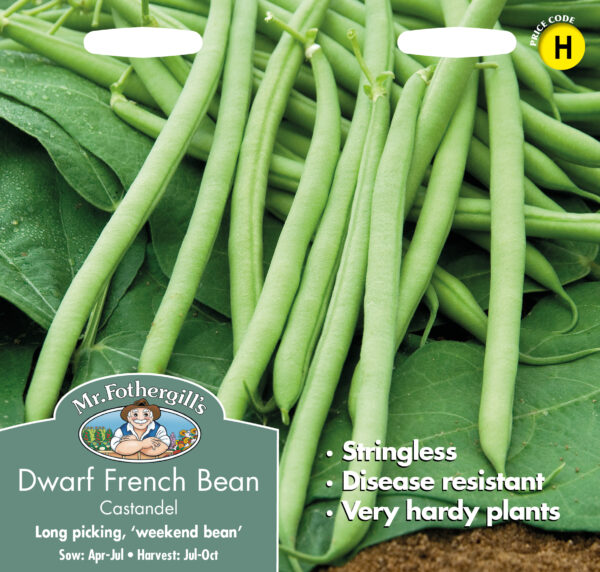 Dwarf French Bean Castandel