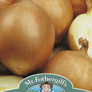 Onion Santero F1