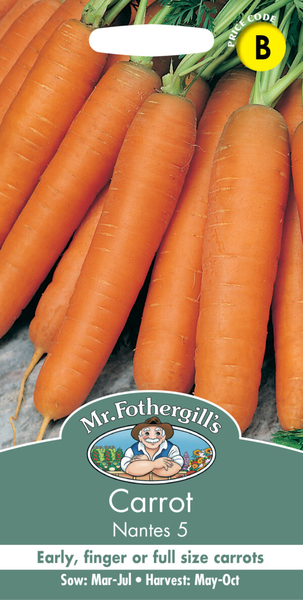 Carrot Nantes 5
