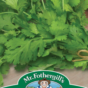 Coriander Calypso