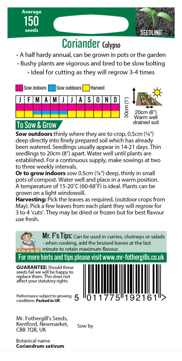 Coriander Calypso - Image 2