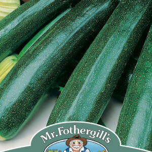 Courgette Zucchini