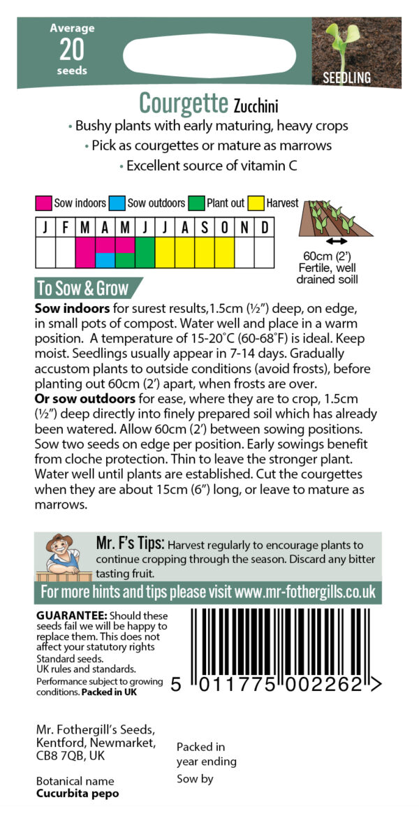 Courgette Zucchini - Image 2