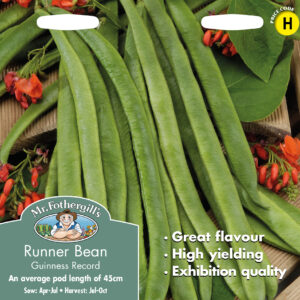 Runner Bean Guinness Record