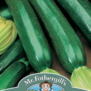Courgette Firenze F1