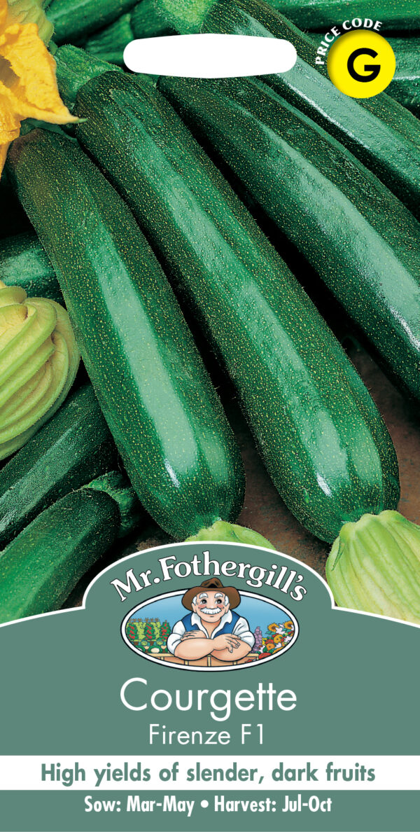 Courgette Firenze F1