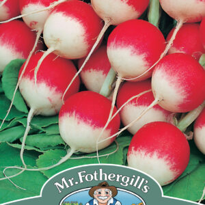 Radish Sparkler 3