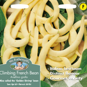 Climbing French Bean Anellino Giallo