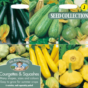 Courgettes & Summer Squashes Collection