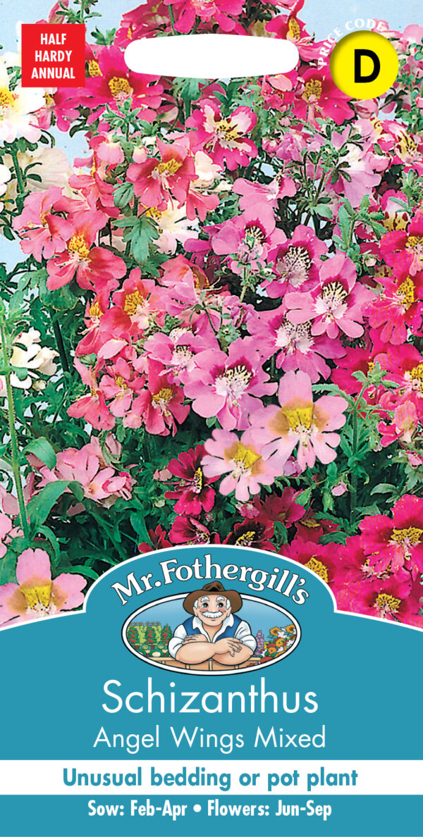Schizanthus Angel Wings Mixed