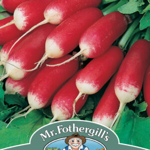 Radish French Breakfast 3