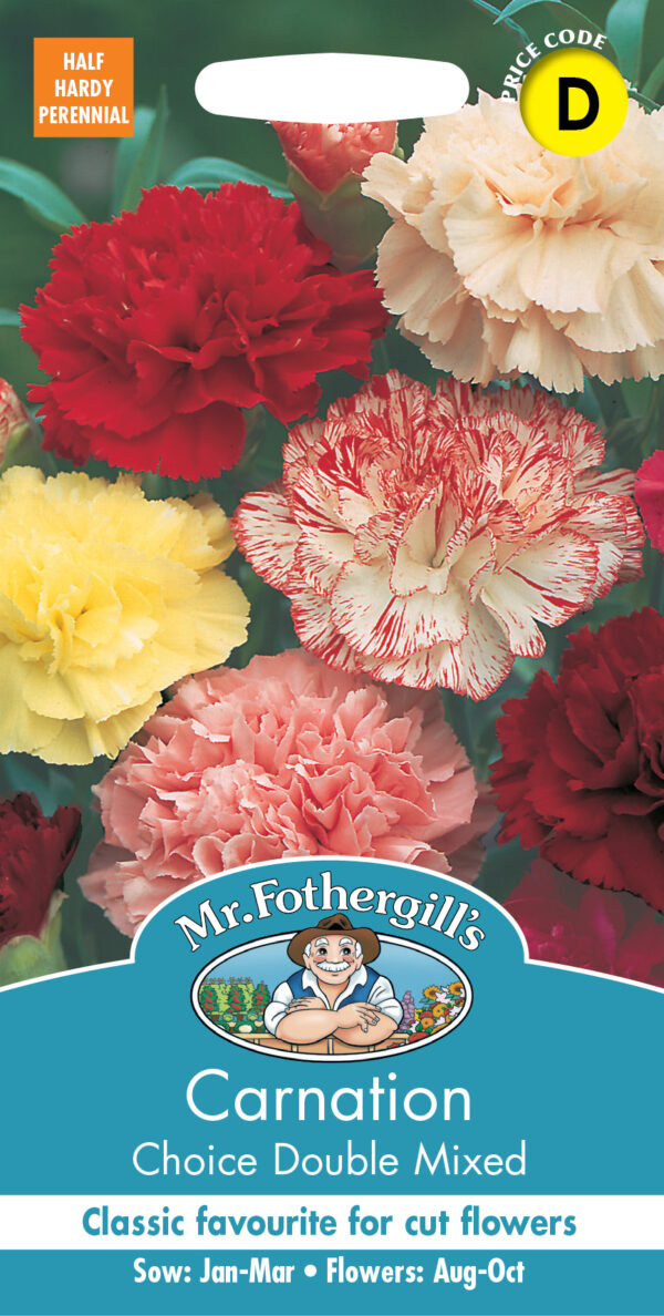 Carnation Choice Double Mixed