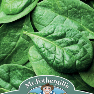 Spinach Helios F1
