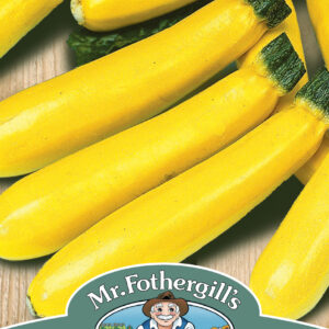 Courgette Soleil F1