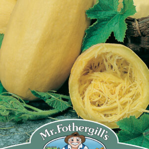 Squash Vegetable Spaghetti