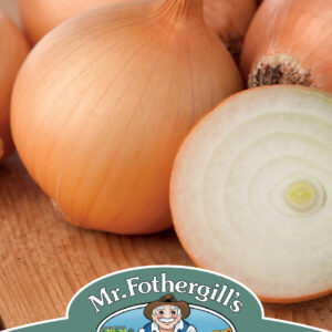 Onion Bonus F1