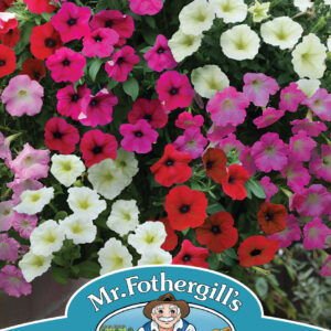 Petunia Rapide Mixed F1 (Trailing)